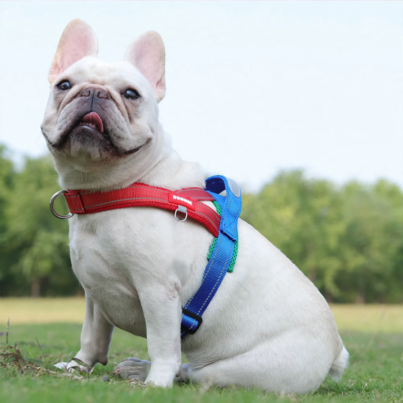 Hundegeschirr für kleine Hunde, Netzstoff