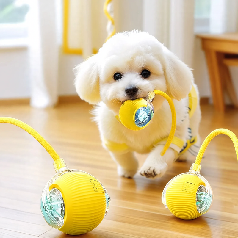 Interaktiver Springball für Katzen mit Aufladung