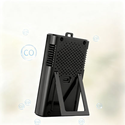 Kohlenmonoxid-Detektor GC300, tragbar