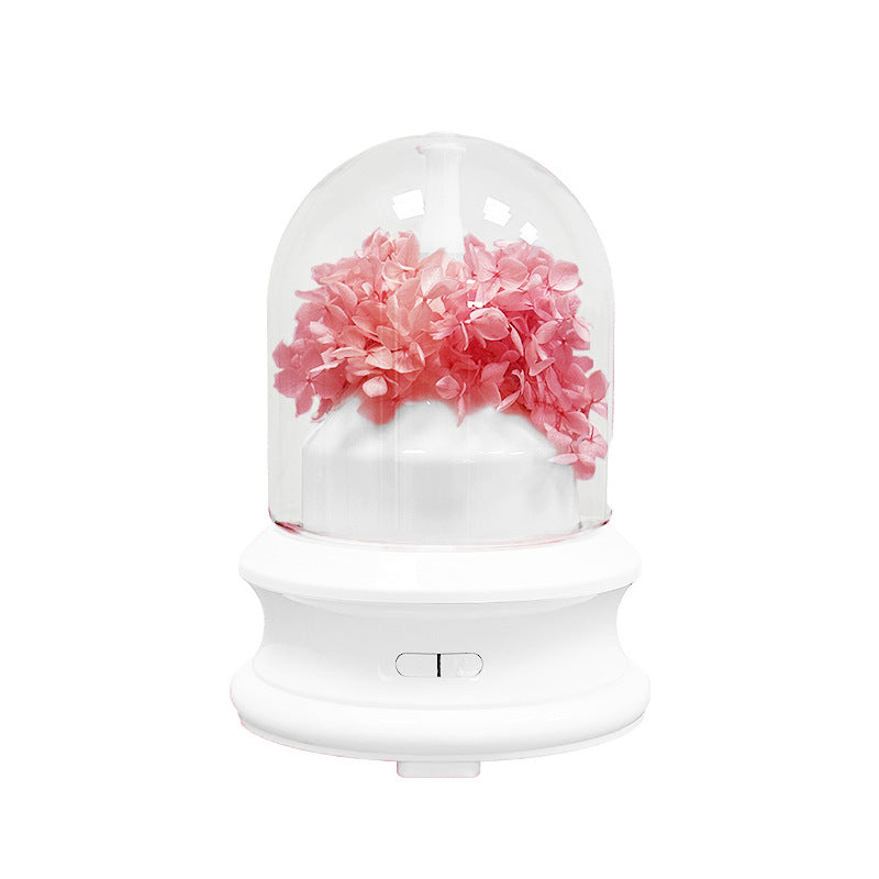 Aroma-Diffuser mit LED-Licht und Sprühfunktion