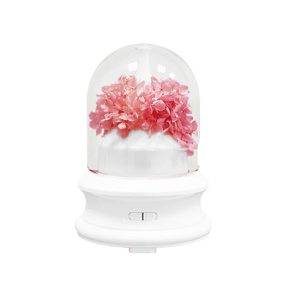 Aroma-Diffuser mit LED-Licht und Sprühfunktion