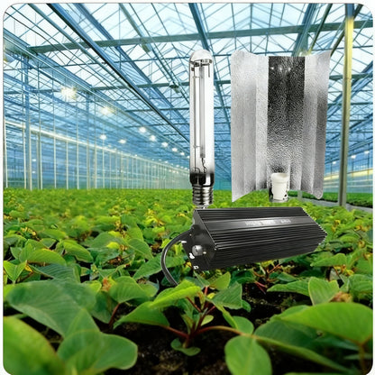 HPS-600W Hochdrucknatriumlampe für Pflanzen