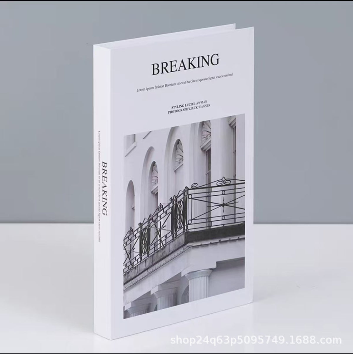 Dekoratives Kunstbuch, nordisch-minimalistisch