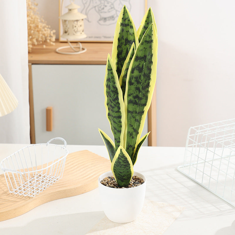Kunstpflanze Sansevieria, 50 cm, PE
