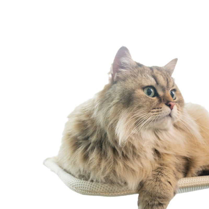 Flauschiges Katzenbett, rund, wärmend