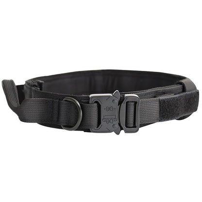 Taktisches Hundehalsband aus Nylon
