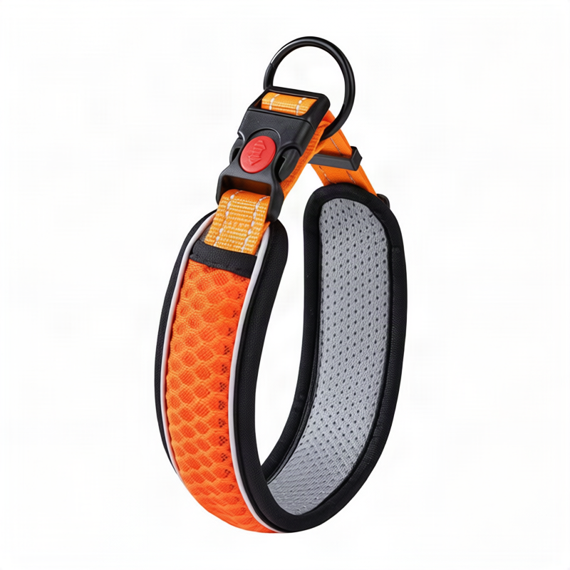 Hundehalsband aus Polypropylen