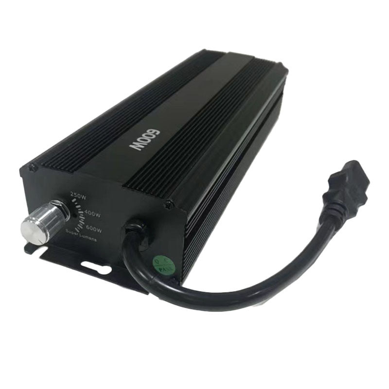Hochleistungs-Natriumdampflampe 600 W, Modell NGG600W-01