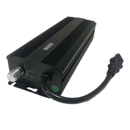 Hochleistungs-Natriumdampflampe 600 W, Modell NGG600W-01