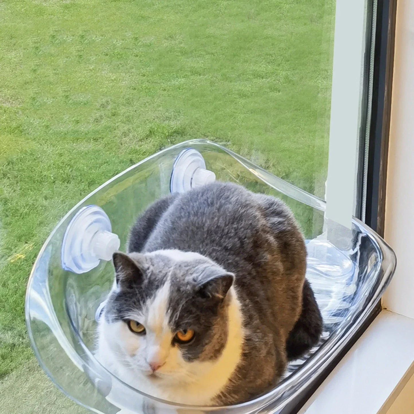 Katensichere-Hängematte | Der ultimative Komfort für Ihre Katze | Brehn