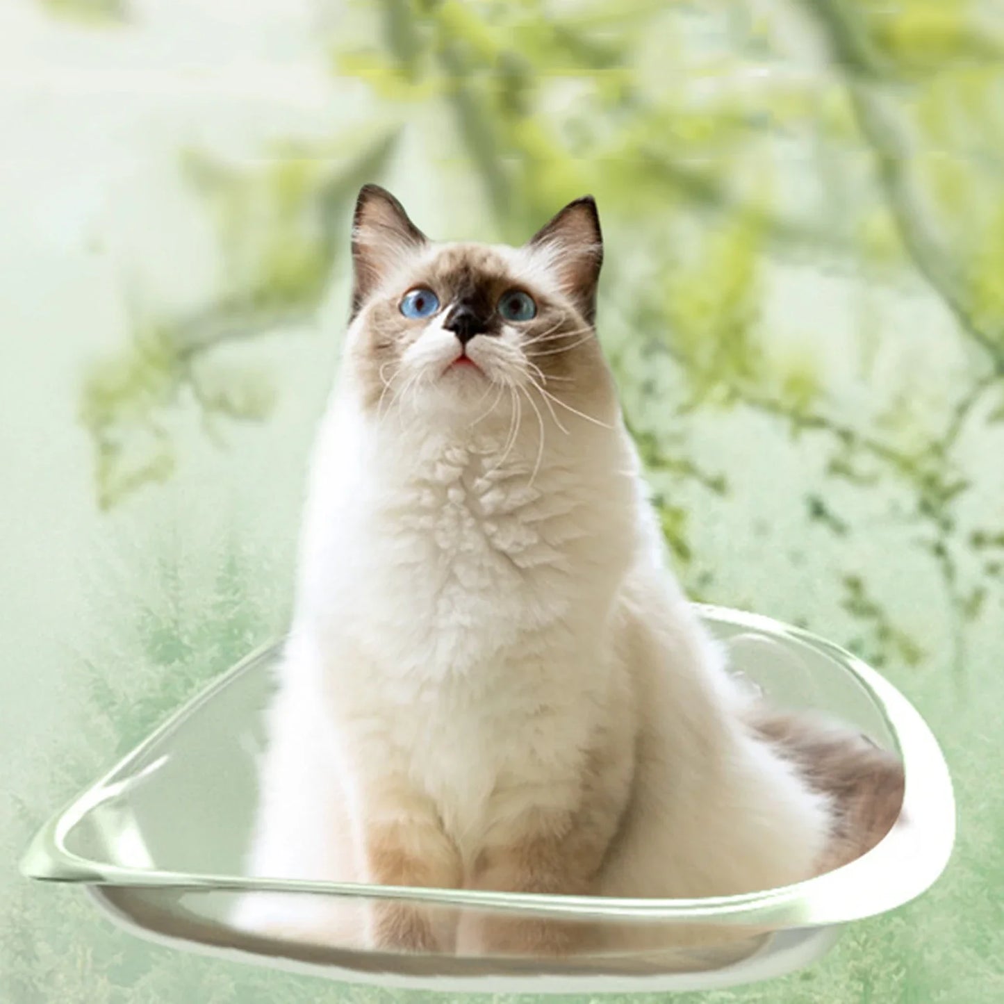 Katensichere-Hängematte | Der ultimative Komfort für Ihre Katze | Brehn