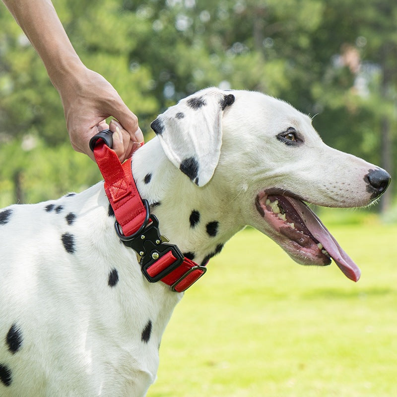 Taktisches Hundehalsband mit Griff