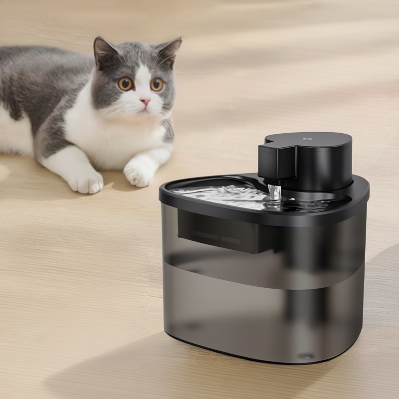 Automatischer Katzenbrunnen mit Filtration