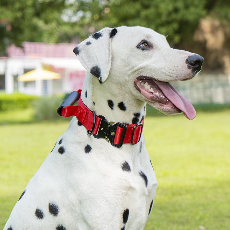 Taktisches Hundehalsband mit Griff