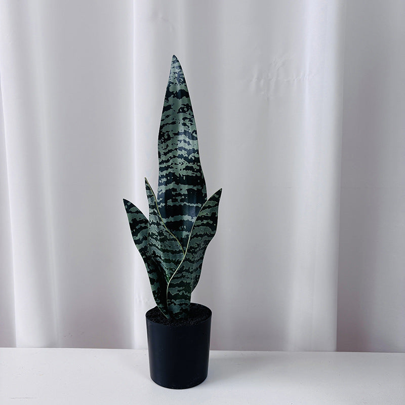 Kunstpflanze Sansevieria, 50 cm, PE