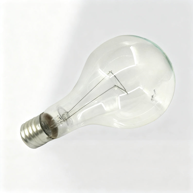 Glühlampe E40 Schraubsockel 110V/220V