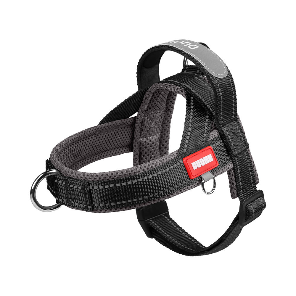 Hundegeschirr gepolstert mit Leine
