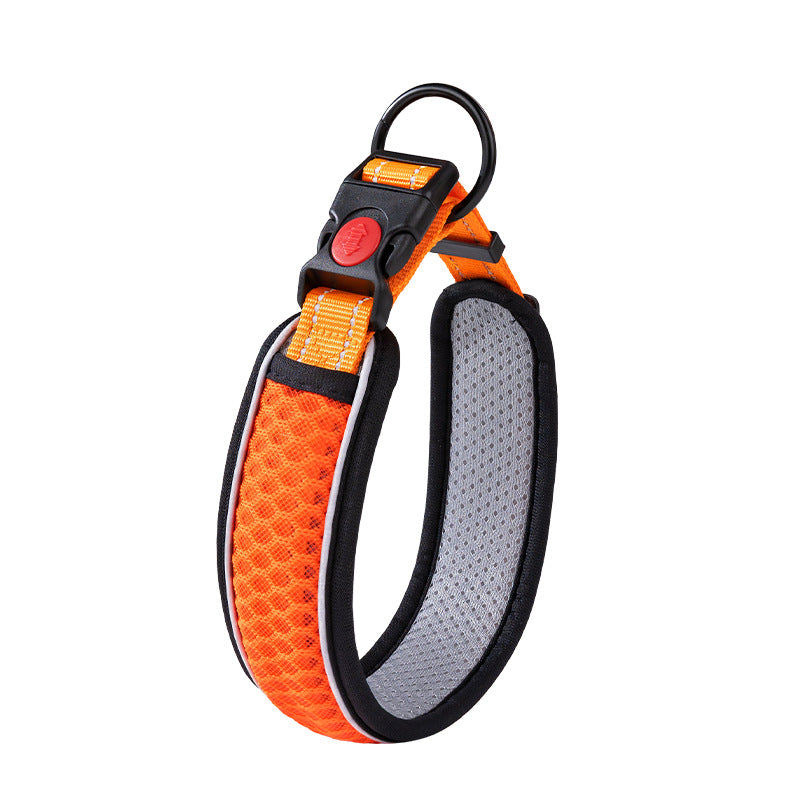 Hundehalsband aus Polypropylen