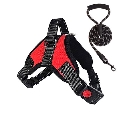 Hundegeschirr gepolstert mit Leine