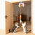 Katzenspielzeug mit Minze und Raschelpapier