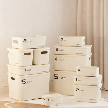 Kunststoff-Aufbewahrungsbox mit Deckel, Mittelgröße