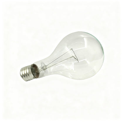Glühlampe E40 Schraubsockel 110V/220V
