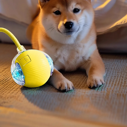 Interaktiver Springball für Katzen mit Aufladung