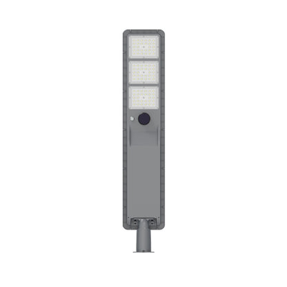 Solar-Wegleuchte mit Bewegungsmelder, LED