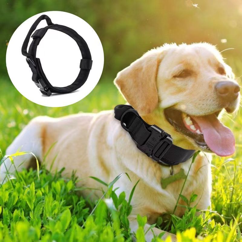 Taktisches Hundehalsband aus Nylon