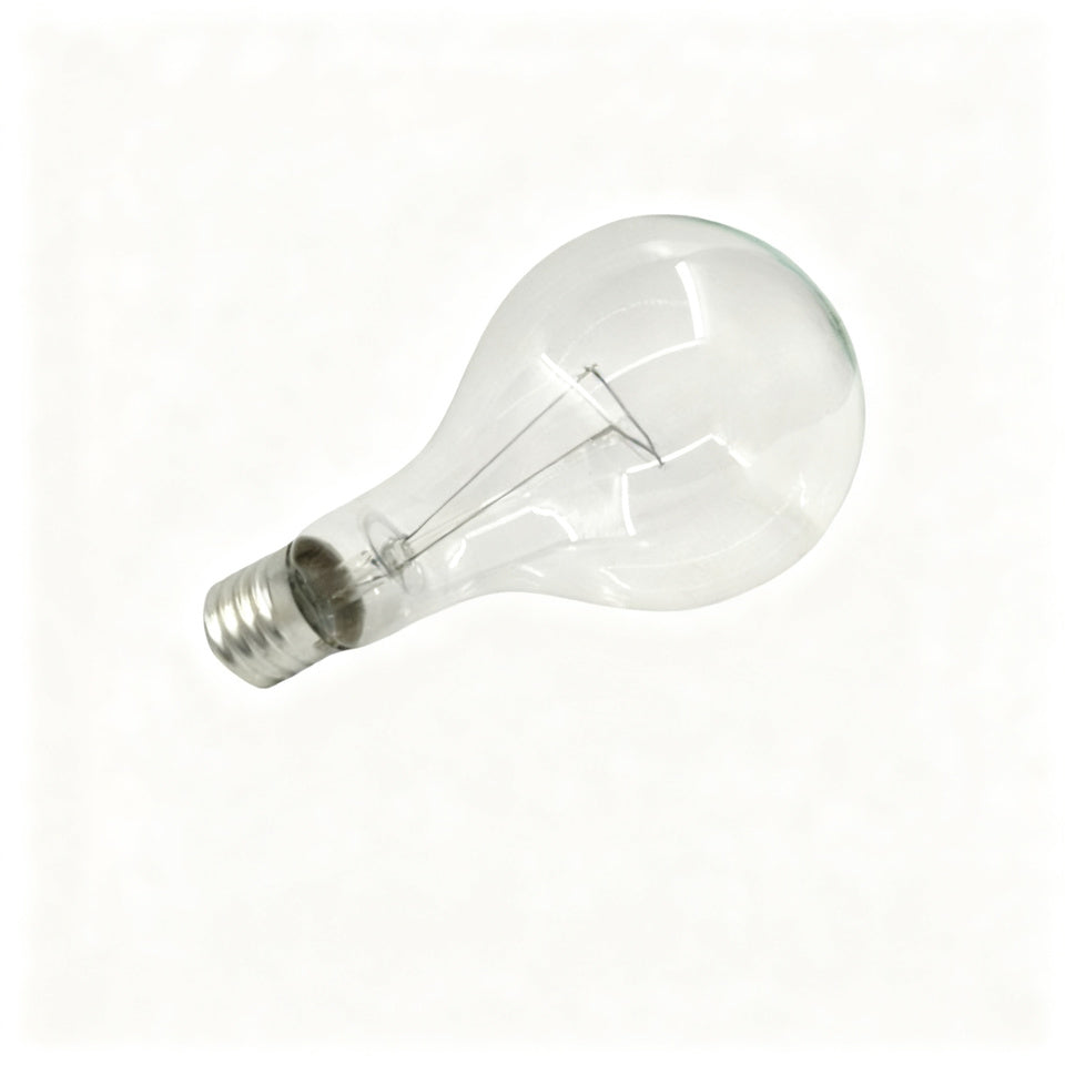 Glühlampe E40 Schraubsockel 110V/220V