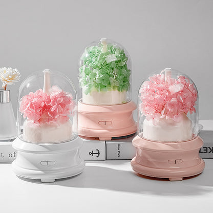 Aroma-Diffuser mit LED-Licht und Sprühfunktion