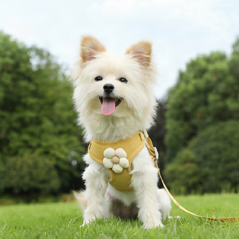 Hundegeschirr aus Stoff mit Leine, XS bis XL