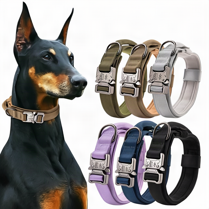 Hundehalsband aus Nylon mit Griff