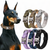 Hundehalsband aus Nylon mit Griff