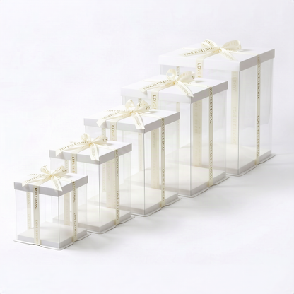 Transparente Kuchenboxen, verschiedene Größen