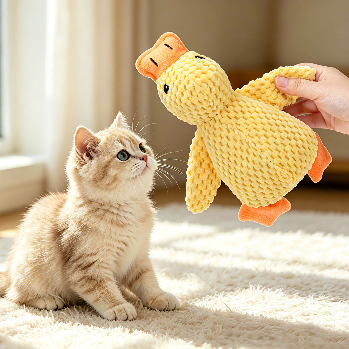 Katzenspielzeug mit Minze und Raschelpapier