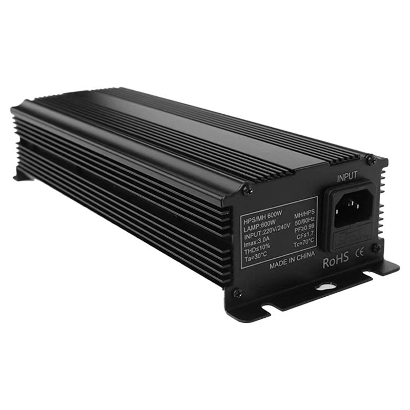 Hochleistungs-Natriumdampflampe 600 W, Modell NGG600W-01