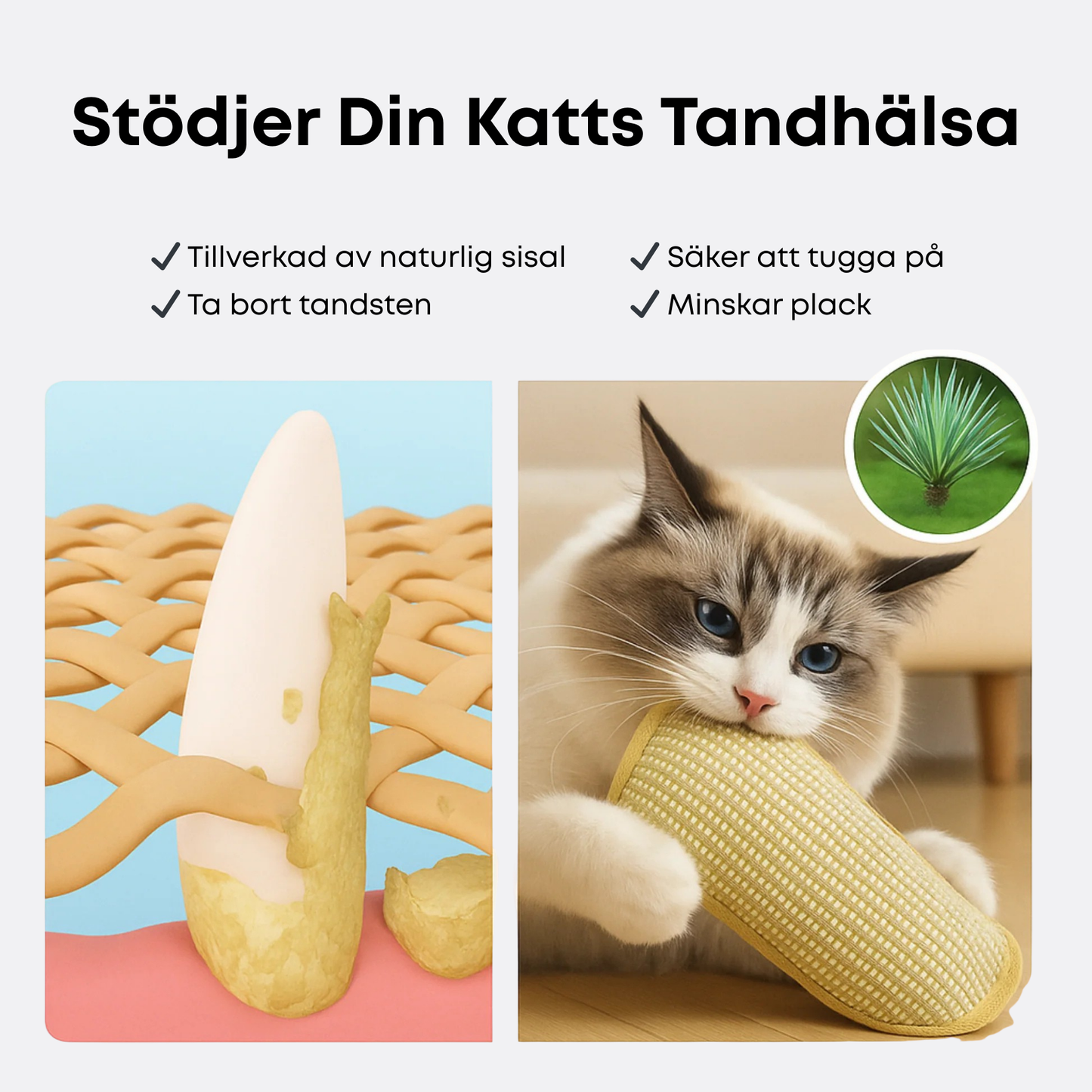 Krallex® — Entfessle das wilde Jagdfieber deiner Katze für stundenlangen Spielspaß und gesunde Zähne | Brehn