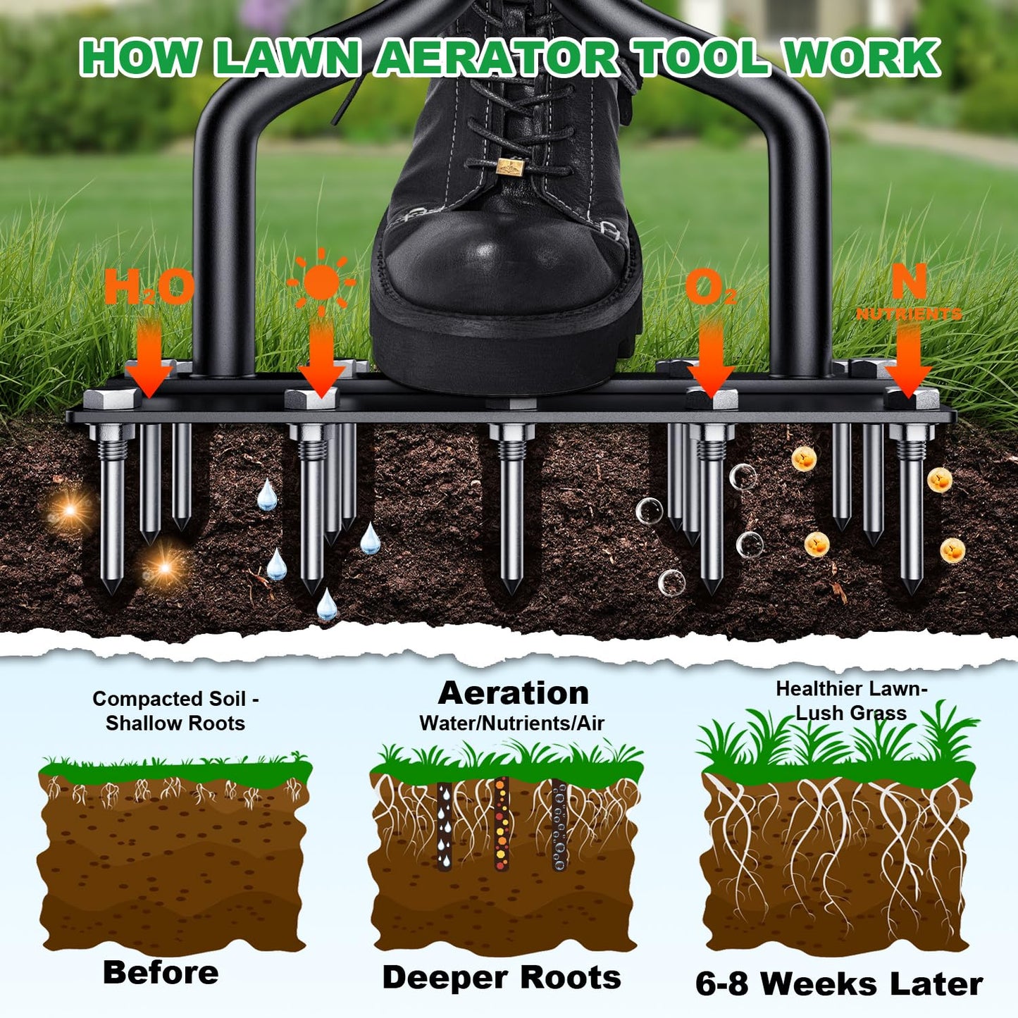 Brehn | LawnThrive Rasen schnell auffrischen