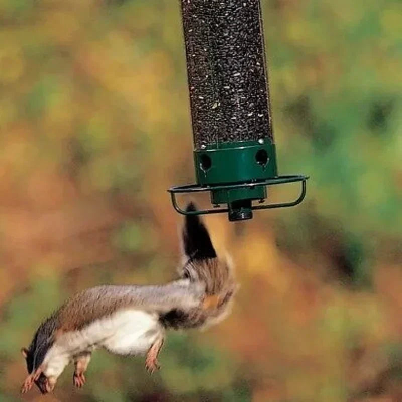 Brehn | BirdHaven eichhörnchen-sicherer Vogelhäuschen