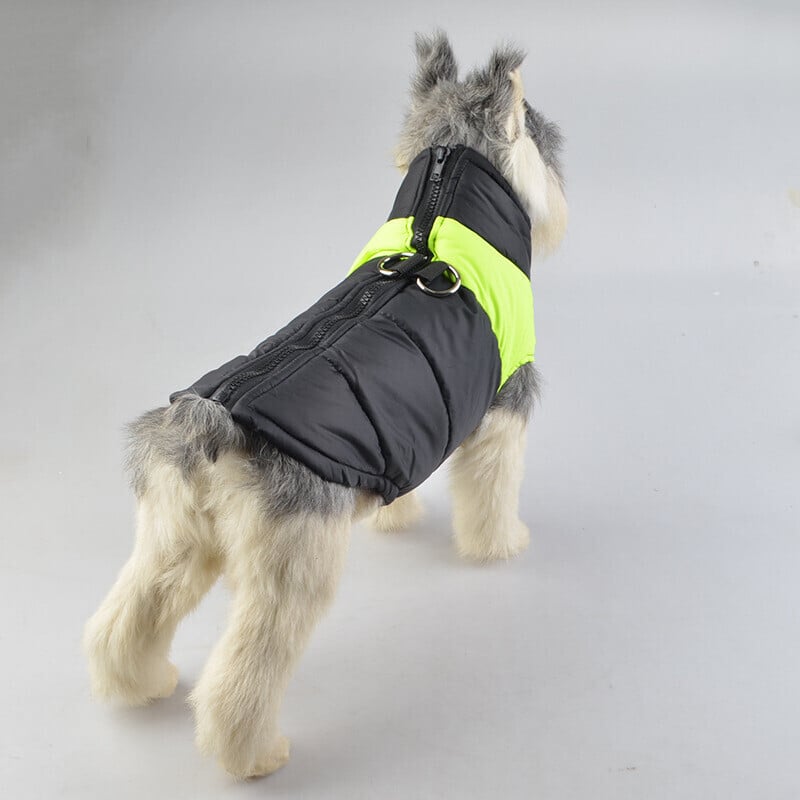 XXL Dog Vest Outdoor S-7XL | Warmer, Waterproof Dog Coat with Integrated Leash Attachment