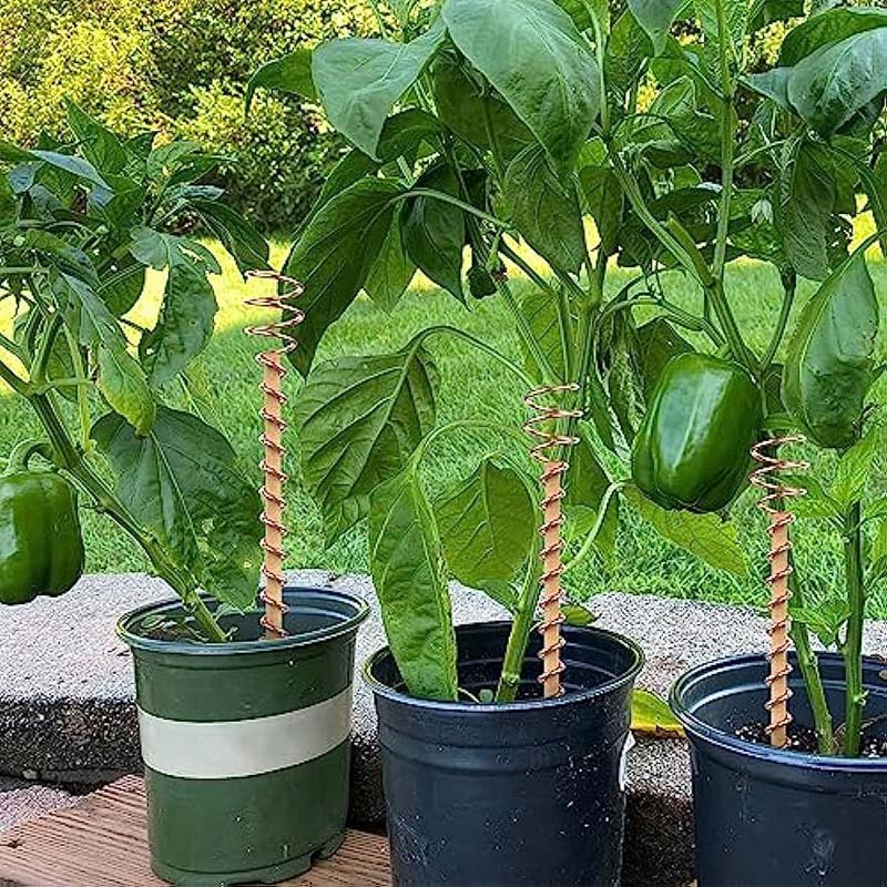 Kupfer Rankstäbe für Pflanzen 30 cm | Brehn
