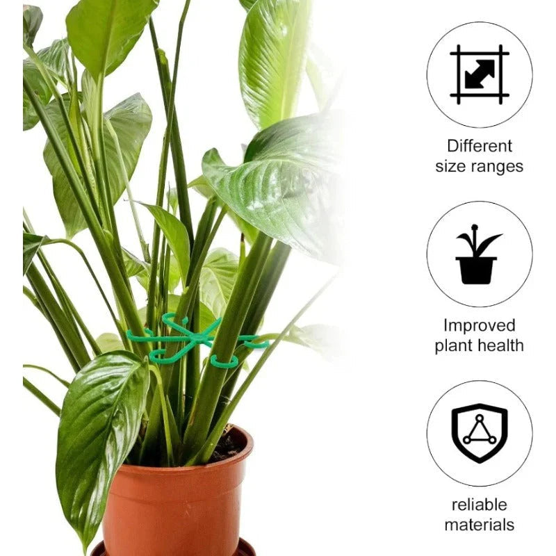 GrowMaster — Lass deine Pflanzen unaufhaltsam stark und gesund wachsen! (8 Stück) | Brehn