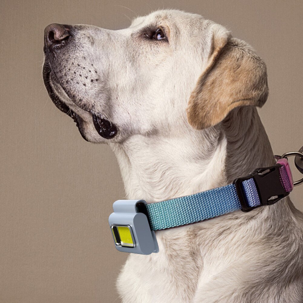 VIvolux | Pocket Must-Have Mini Magnetische Gehlicht Clip