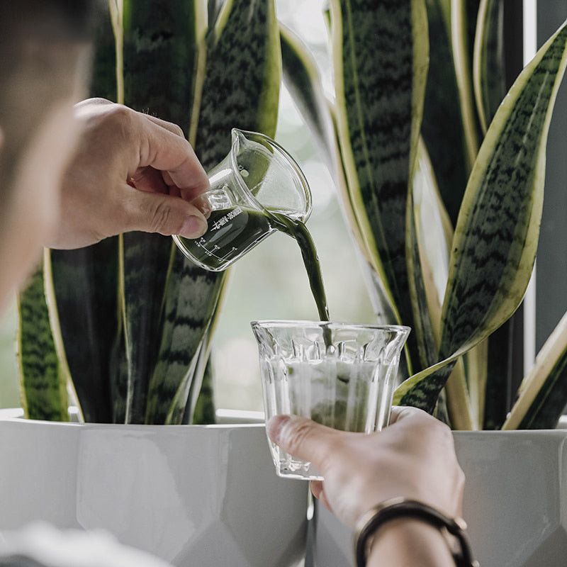 Espresso-Glas-Messbecher Unzen-Messbecher Doppelausgüsse Kaffeetasse | Brehn
