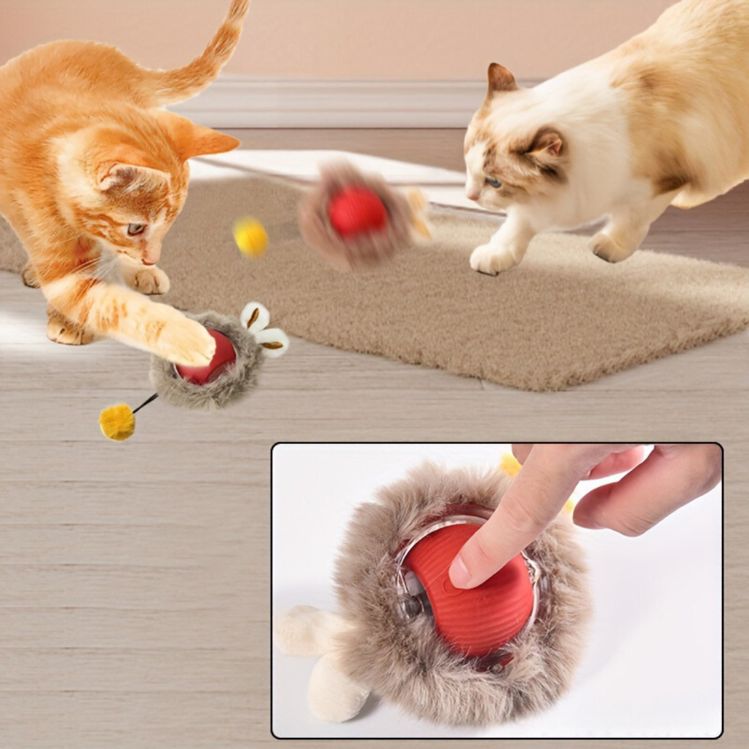 Interaktives Plüschspielzeugball für Katzen | Brehn