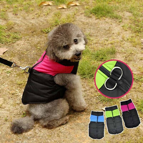 XXL Dog Vest Outdoor S-7XL | Warmer, Waterproof Dog Coat with Integrated Leash Attachment