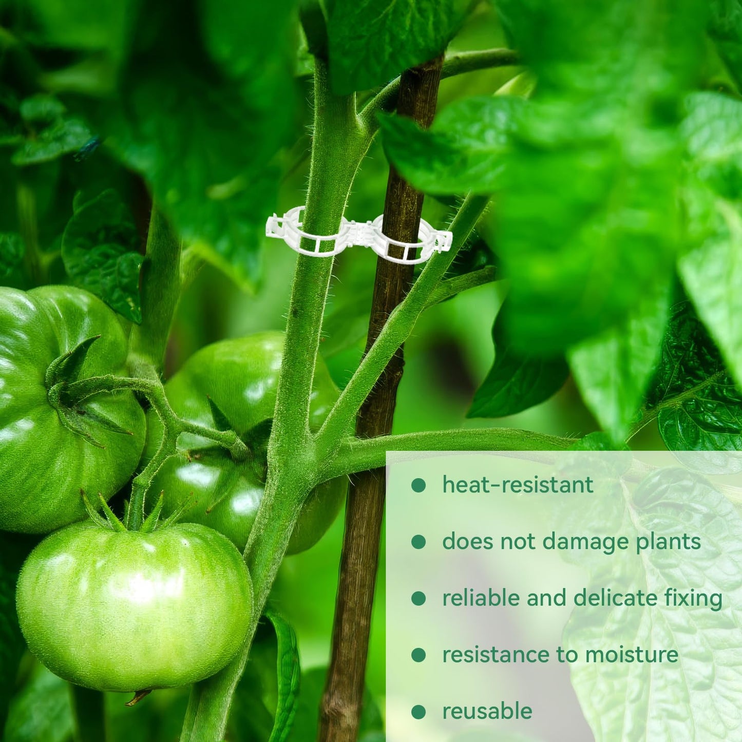 Brehn | Tomatenclips, Kunststoffspalierclips