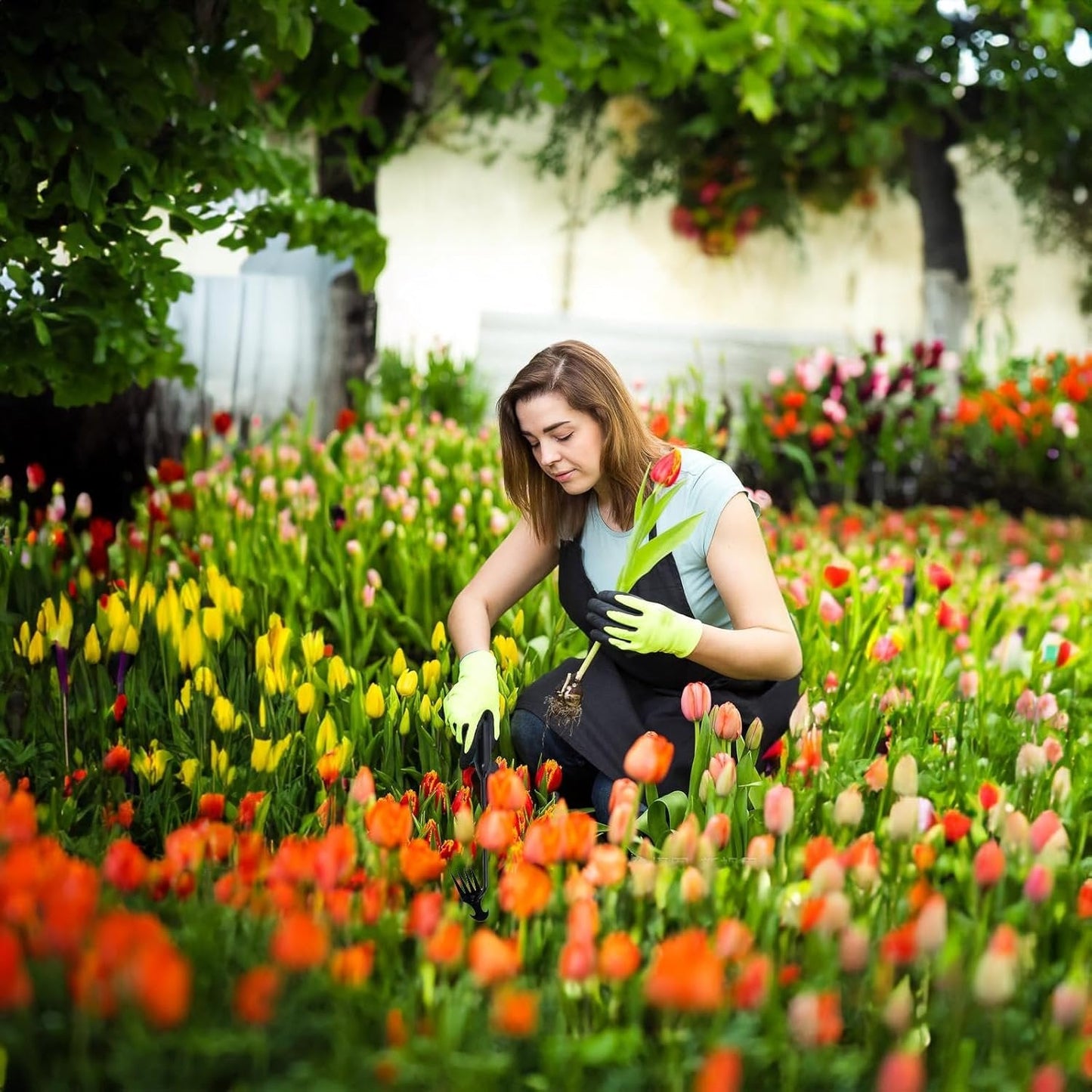 Brehn | Garten Unkrautziehwerkzeug