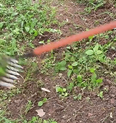 TuinGrijp Carbonstahl Unkrautgee geeigneter Rechen für Gartenpflege | Brehn